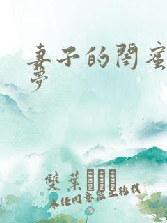 妻子的闺蜜王小梦