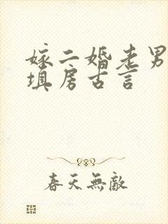 嫁二婚老男人当填房古言
