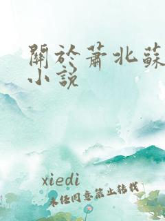 关于萧北苏婉的小说