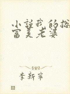 小说我的总裁白富美老婆