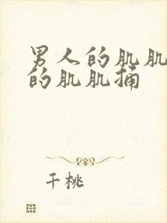 男人的肌肌女人的肌肌捅