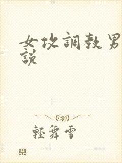 女攻调教男受小说