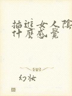 插进女人阴道是什么感觉