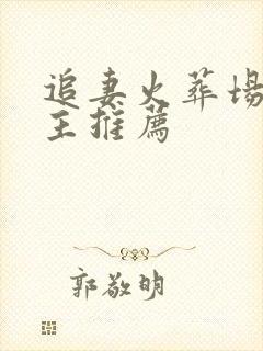 追妻火葬场双男主推荐