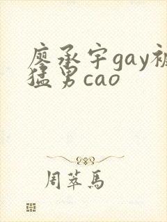 廖承宇gay被猛男cao