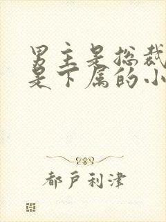 男主是总裁女主是下属的小说