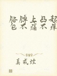 胳膊上凸起的小包不痛不痒