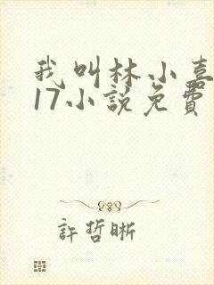 我叫林小喜今年17小说免费看