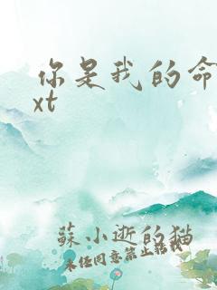 你是我的命运txt