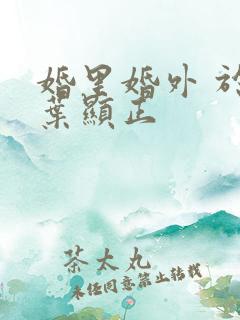 婚里婚外 于鑫叶显正