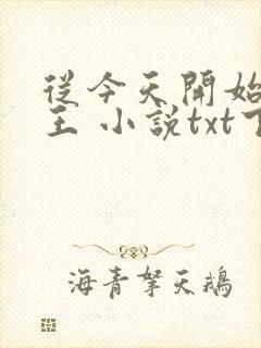 从今天开始做藩王 小说txt下载
