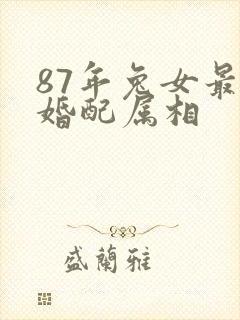 87年兔女最佳婚配属相