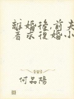 离婚后,前夫哭着求复婚小说全文在线阅读