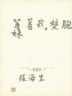 等着我双胞胎姐妹