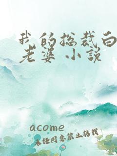 我的总裁白富美老婆 小说