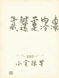 牛腱子肉卤完冷藏还是冷冻