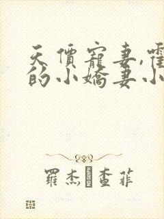 天价宠妻,霍总的小娇妻小说