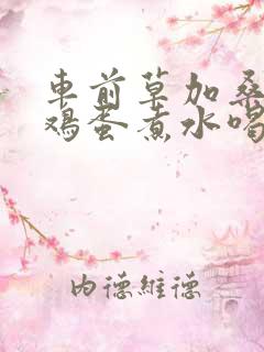 车前草加桑叶加鸡蛋煮水喝有什么效果