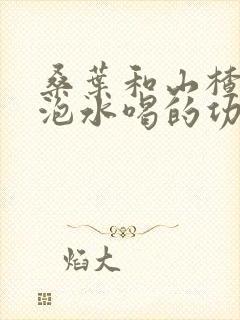 桑叶和山楂一起泡水喝的功效是什么