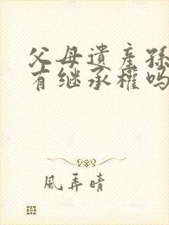 父母遗产孙辈们有继承权吗?