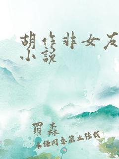 胡作非女友系列小说