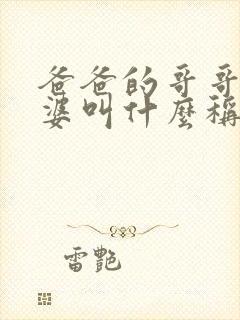 爸爸的哥哥的老婆叫什么称呼