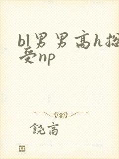 bl男男高h总受np