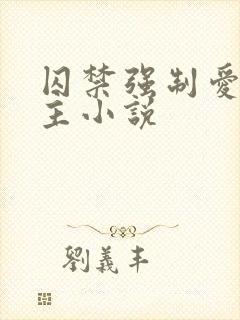 囚禁强制爱双男主小说