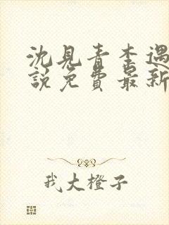 沈见青李遇泽小说免费最新章节阅读