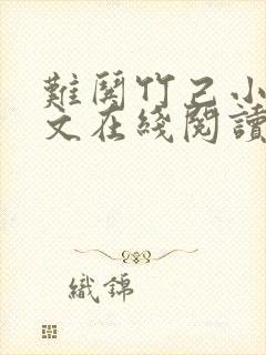 难哄竹己小说全文在线阅读