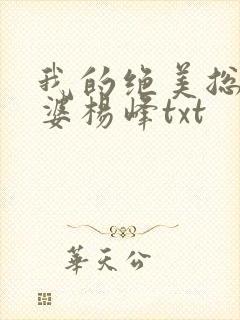 我的绝美总裁老婆杨峰txt