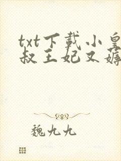 txt下载小皇叔王妃又薅你气运了