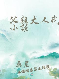 父亲大人我错了小说