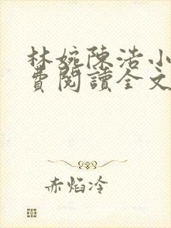 林婉陈浩小说免费阅读全文最新章节