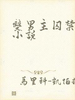 双男主囚禁调教小说