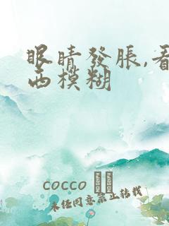 眼睛发胀,看东西模糊