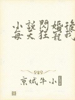 小说闪婚后大叔每天狂宠我完整版