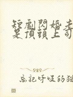 短剧闪婚老公竟是顶头上司大结局