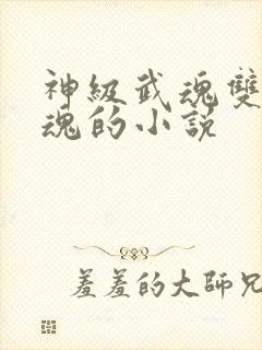 神级武魂双生武魂的小说