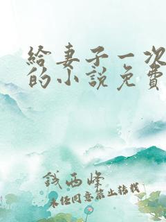 给妻子一次恋爱的小说免费阅读