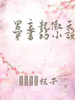 男主龙傲天女主穿书的小说