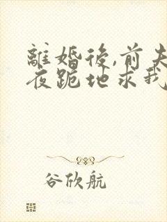 离婚后,前夫雨夜跪地求我复婚