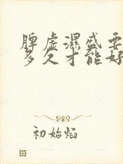 脾虚湿盛要调理多久才能好