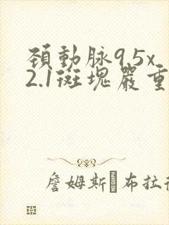 颈动脉9.5x2.1斑块严重吗?要治疗吗