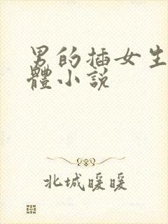 男的插女生的下体小说