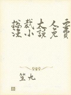 总裁大人要够了没小说免费阅读全文