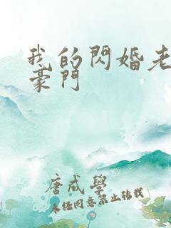 我的闪婚老公是豪门