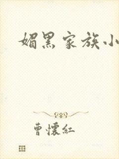 媚黑家族小说