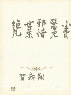 绝世邪医小说林凡叶惜免费阅读全文