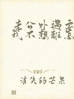 老公外遇要离婚我不想离怎么办